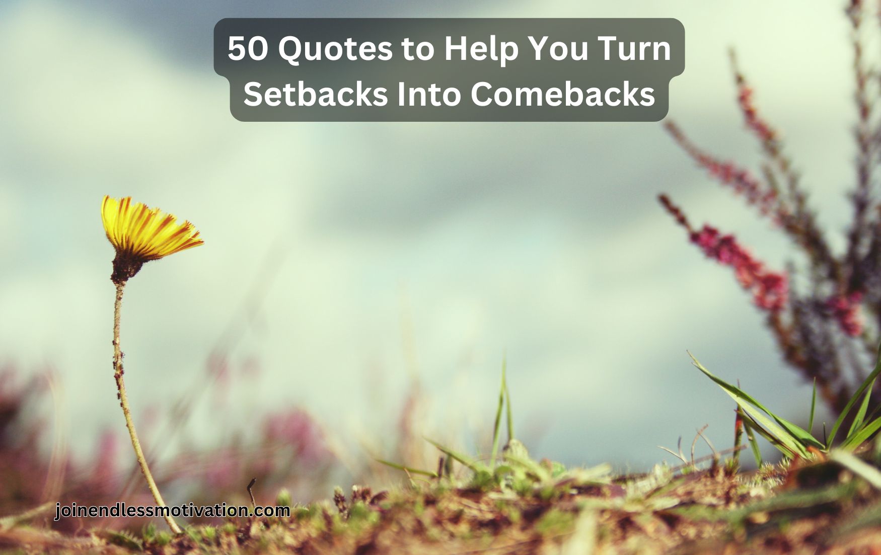 50 Quotes to Help You Turn Setbacks Into Comebacks